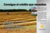 Foto de Rodriguez de lira y asociados sa de cv-financieras