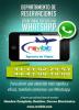 Revibit Entertainment