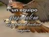 Foto de Grupo halcon