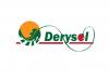 Foto de Derysol s de R.L. De C.V.